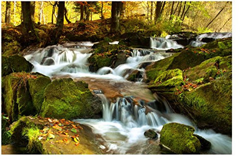 Non-Woven Wallpaper Premium - Waterfall Autumnal Forest - Mural Landscape Format Wallpaper Wall Mural Photo Feature 3D Wall-Art Wallpaper murals Bedroom Living Room Dimension HxW: 320cm x 480cm