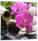 Bilder auf Glas Orchidee Bambus Dekoration Spa Glasbild 30x30cm Wandbilder Dekoration Wohnzimmer Schlafzimmer Küche Deko Klein Wanddeko Bild im Glas Wand Kunstdruck Art Modern Wall Decor GAC30x30-2666