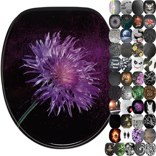 Sanilo WC Sitz mit Absenkautomatik, viele schöne schwarze Toilettendeckel zur Auswahl, hochwertige und stabile Qualität aus Holz (Purple Dust)