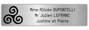 DECOHO - Plaque Boite aux Lettres Decayeux personnalisée - Plastique Argent Lettres Noires - 100x25 mm adhésive 3 Lignes avec Triskell Br - Argent