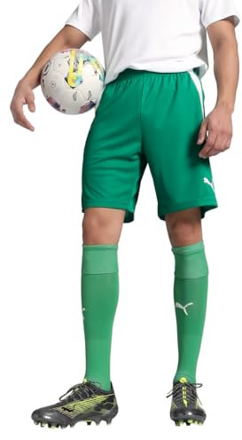 PUMA Teamliga Shorts Kurz, Pepper Green White, XL