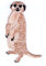 Aufnäher Bügelbild Aufbügler Iron on Patches Applikation Erdmännchen 5 x 8,7cm vor167-10