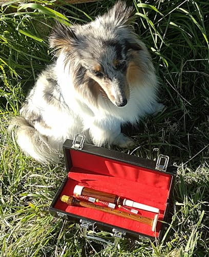 Angelsworld Practice Chanter incl. Koffer + 3 Reeds NEU (C-Dur, Rosenholz, Rosewood)