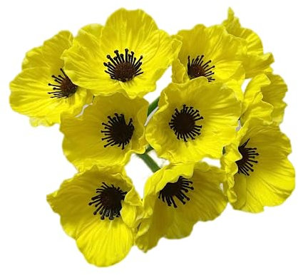 Rikyo Künstliche Mohnblumen, 10 Stiel, 30 cm kein Verblassen, Mehrfarbig, PU, künstliche Wildblumen für Küche, Tisch, Tafelaufsatz, Vase, Zuhause, Grün, Hochzeit, Hintergrund, Bogen, Wand (gelb)