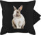 Kissenbezug - Osterkissen - Hasenmotiv Ostern Hase Motiv Hasen - 50 x 50 cm - Schwarz - ostergeschenke 50x50. osterideen frohe ostergeschenk kleinigkeit bezüge osterm für eltern osterüberraschung