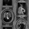 Muriva Just Like It Dogs In Frames Photo Picture Motif Vinyl Wallpaper J59319