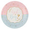 SANTEX 7656-99, Paquet de 10 Assiettes Girl Or Boy ? 22,5cm
