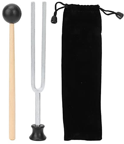 256 Hz Stimmgabel, Vibrations-Experimentalinstrument Musikalisches Edelstahl-Resonanz-Tuning-Set mit Aufbewahrungstasche