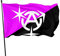 Bandera Queer Anarchism1 de 3 x 5 pies, color vivo y resistente a la decoloración UV, banderas de pared para exteriores e interiores