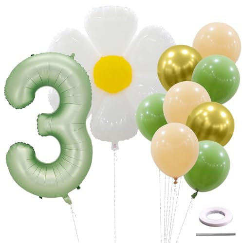 Ovanda 3. Geburtstag Junge, Gänseblümchen Deko Geburtstagsdeko 3 Jahre, Grün Folienballon 3 mit Luftballons 3. Geburtstag, Geburtstagsdeko 3 Jahre Mädchen, Kinder Geburtstagsfeier Digital Ballon