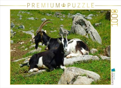 CALVENDO Puzzle Ziegen in den Schweizer Alpen | 1000 Teile Lege-Größe 64 x 48 cm Foto-Puzzle für glückliche Stunden