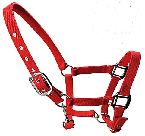 tooloflife Collar de nailon acolchado con estampado de caballo ajustable para potro, pony, burro