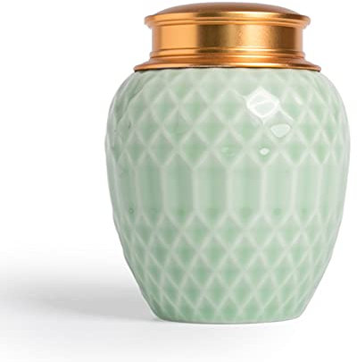 OMVOVSO Ceramic Pet Urn Haustier Hund Katze Memorial Einäscherung Beerdigung Funeral Urn for Asche Aufbewahrungs Särge, Urnen & Gedenksteine Für Hunde,Grün