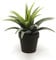 künstliche Agave mit 21 Blättern im Topf H. 25cm grün Emerald Topfpflanze