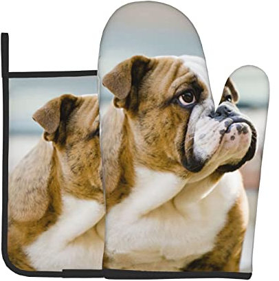 Ofenhandschuhe und Topflappen, englische Bulldogge, 2 Stück, Hot Pan Matte, zum Kochen, Grillen, Küche Geschenk für Koch, Liebhaber, Mama