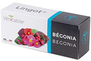 Lingot® Begonia - Compatible con huerto de interior genuino y Exky® - Recarga listo para usar - Sustrato con semillas integradas..