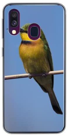 MuchoWow Funda para Samsung Galaxy A40 - Abejarucos Enanos sentados en una Rama Delgada en un día Soleado - Funda de Silicona/Funda Blanda para teléfono móvil