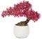 Oairse 25 cm Kunstpflanze Bonsai Baum im Keramiktopf Künstliche Pflanzen Aesthetic Japanische Bonsai Deko für Wohnzimmer Schlafzimmer Badzimmer Fensterbank Dekoration - Podocarpus Kunstbonsai