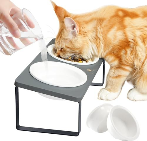 GUUSII HOME Raised Cat Bowl Set with Stand Elevated Tilted for Food Water Ceramic Kitty Feeding Sation Ergonomic Puppy Dish with 4 Bowls Pet Feeder Metal Legs Anti Vomiting Easy to Assemble(Grey)