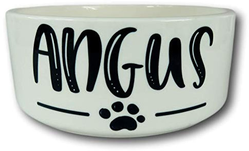 the T bird Personalised Pet Bowl | Medium Dog Bowl | Ceramic Pet Bowl | for Your Pet