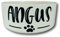 the T bird Personalised Pet Bowl | Medium Dog Bowl | Ceramic Pet Bowl | for Your Pet