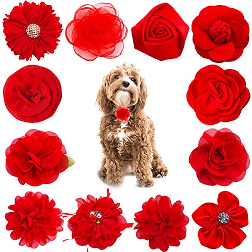 PET SHOW 12 rote Hundehalsbänder mit Schleifen und Blumen für Mädchen, Welpen, Katzen, weibliche kleine und mittelgroße Hunde, Halsbänder, Verzierung, Haustier-Halsband, Zubehör