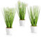 PASCH® 3 x Kunstgras in weißem Keramiktopf (31cm): Gräser künstlich | Künstliches Gras | Kunstpflanze Gras | Dekogras | Kunstpflanzen wie echt | Künstliche Pflanzen im Topf (Ziergras Variation)
