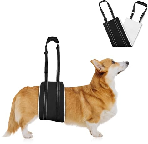 AOOHA Hunde Tragehilfe, Hund Hinten Lift Support Geschirr, Flauschig Weiches Material, Verstellbare Gehhilfe, Hundegeschirr für behinderte, verletzte oder ältere Hunde (S)