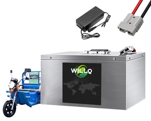 WILLQ 60V 30Ah 40Ah 50Ah 55Ah 60Ah 65Ah 70Ah 80Ah Elektromotorradbatterie, 60-Volt-Ersatzbatterie für E-Trikes, Lithium-Ionen-Akku mit BMS-Schutzplatine