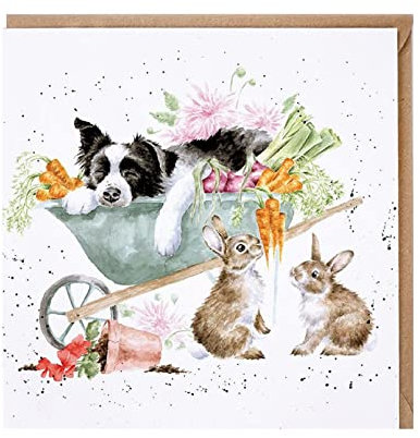 Wrendale - CS230 - Grußkarte, Doppelkarte mit Umschlag, Sleeping on the job, Wachhund und Hasen, Country Set Karte, 15cm x 15cm