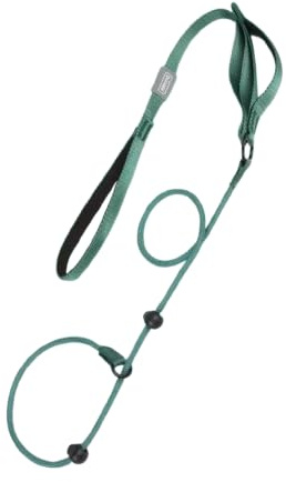 Arlinens Lead for Dogs | 1.6m – No Pull Training Leash with Double Handle, Easy to Slip On, No Collar or Harness Needed,Heavy Duty Nylon Rope Lead for Small Medium Large Dogs (Green)