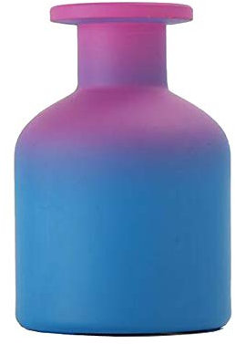 ericotry 1PCS 150ml/5oz Glass Diffuser Bottle Jars Pot Empty Refillable Exquisite Essential Oils Container for DIY Reed Diffuser Sticks Sets Crafts Decor Essential Oil Diffuser (Purple)