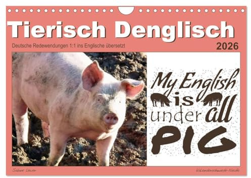 Tierisch Denglisch (Wandkalender 2026 DIN A4 quer), CALVENDO Monatskalender: Denglische Sprüche, einfach der Knaller (CALVENDO Spass)