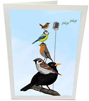 Geburtstagskarte Glückwunschkarte The Backyard Birds Amsel Spatz Rotkehlchen Blaumeise Zaunkönig Vogel Zeichnung mit Umschlag