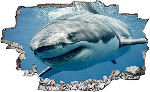 3D Look Wandtattoo 50x70 cm Wand Durchbruch Wandbild Sticker Aufkleber Wandaufkleber - Hai Shark