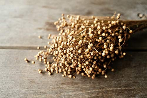 NaDeco Leinen/Flachs getrocknet im Bund ca. 50 cm Flachsstroh Boho Deko Trockenblumen getrocknete Blumen Trockenstrauß getrockneter Blumenstrauß