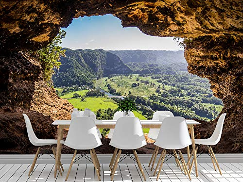 Oedim Tapete für Wand, Höhle, Wandbild | Tapete | 350 x 250 cm | Dekoration für Esszimmer, Wohnzimmer, Schlafzimmer