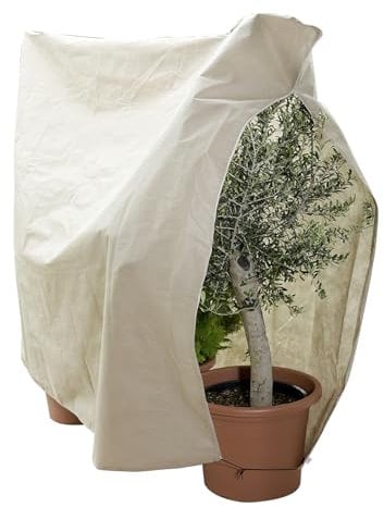 Maximex Pflanzenschutz Vlies 240 x 200 cm - Aus lichtdurchlässigem, wasserabweisendem Vlies, Polypropylen, 240 x 200 cm, Beige