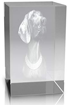 VIP-LASER 3D Glas Kristall Quader XL Hund Weimaraner graviert Mitten in einem Glaskristall