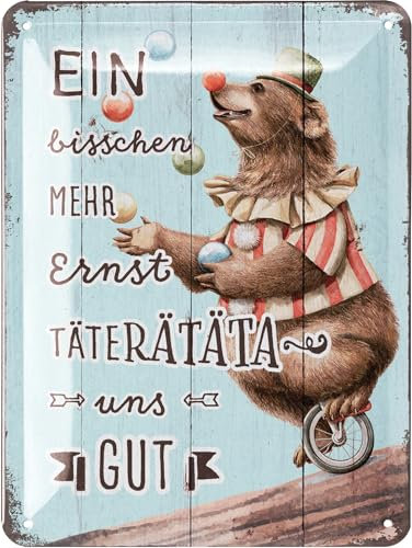 LANOLU Retro Blechschilder EIN BISSCHEN MEHR ERNST TÄTERÄTÄTÄ UNS GUT lustige vintage Metallschilder mit Sprüchen, Wanddeko für Büro, Küche und Garten - Shabby Chic Deko Farmhouse 15x20cm