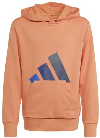 adidas Unisex Kids Essentials Big Logo Hoodie, Dusky Orange/Team royal Blue/Dark Blue/Aurora Ink, 13-14 Years