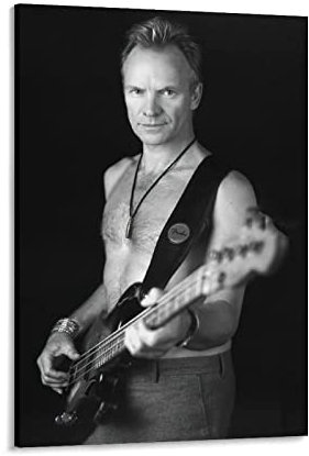 ZHUYING Sting Poster Rocksänger Poster Musik Poster Retro Poster Wandkunst Gemälde Leinwand Drucke Dekor Poster Kunstwerke 50 x 75 cm