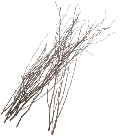 IMIKEYA 12 Pezzi Decorazione Ramo Di Betulla Ramoscello Decorazione Di Rami della Casa Ornamenti per Alberi Di Natale Steli e Rami Ramo Artificiale Rami Di Riempimento Di Vasi Marrone Legno