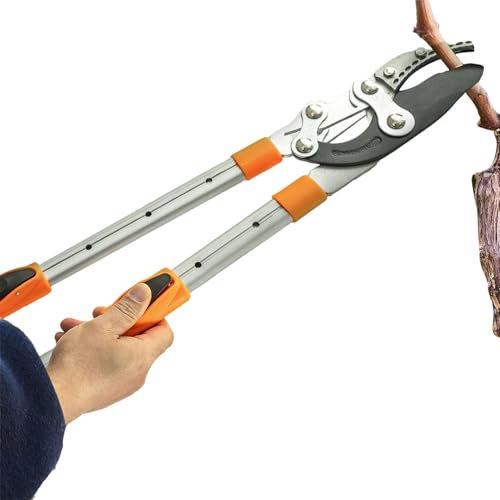 Tijeras de podar - Tijeras de podar resistentes con mango antideslizante | Herramientas de jardín con mango largo antideslizante para vides, setos, bonsái, flores, topiaries, así como interiores y