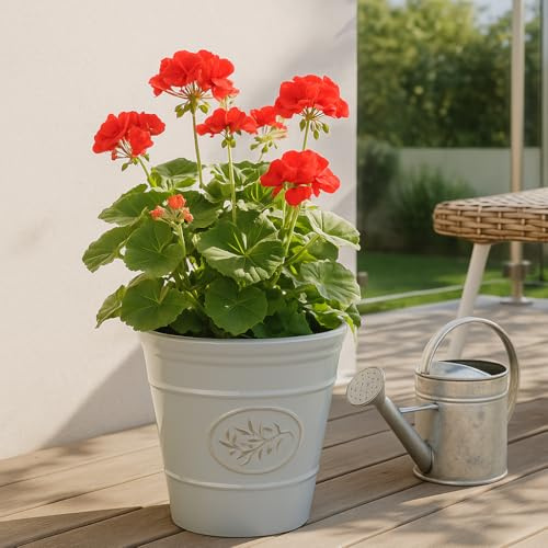 Outdoor Classic Olive Planter | Ceramic Look Round Plastic Flower Pot With Glossy Finish | Frost & UV Resistant Traditional Garden Plant Pot| Dia: 40cm, 50cm & Square | Grey (2, 30cm Medium Round)