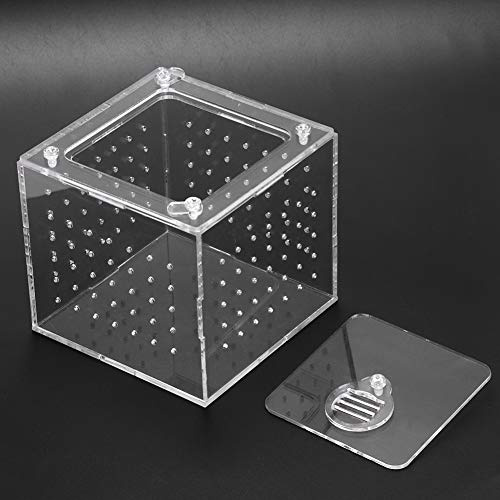 Pssopp Brutschachtel Transparente Live -Lebensmittel -Aufbewahrungsbox für Spinnenschreißen Schnecken Eremit Krabben Tarantulas Geckos 3.9x3.9x3,5 Zoll, Wurmgerichtsreptil, Tragbar und Transparent,