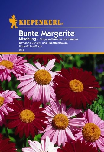 Sperli Blumensamen Rote Margeriten Bunte Mischung, grün