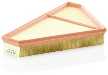 MANN-FILTER, C 36 008 Luftfilter | Für PKW, Saubere Luftzufuhr, Langlebiges Filtermedium, Passgenaues Design, Echte OE-Technologie