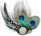 Pfauenfeder Haarspangen,1920 Pfau Feder Haarspange, Pfau Feder Kopfstück, Pfau Feder Fascinator,1920Er Flapper Haarspange,20er Jahre Haarspange,Pfauenfedern Haarschmuck für Frauen Mädchen