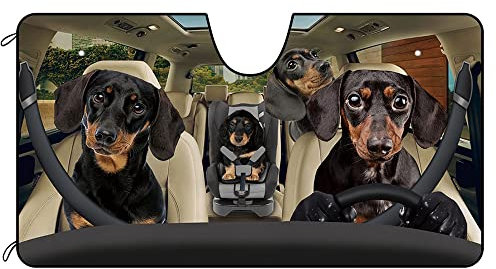 BAGEYOU Parasol para parabrisas delantero de coche, diseño de perro salchicha negro, para decoración de vehículos, reflector de rayos UV, protector solar, mantiene el vehículo fresco, 55 x 30 pulgadas